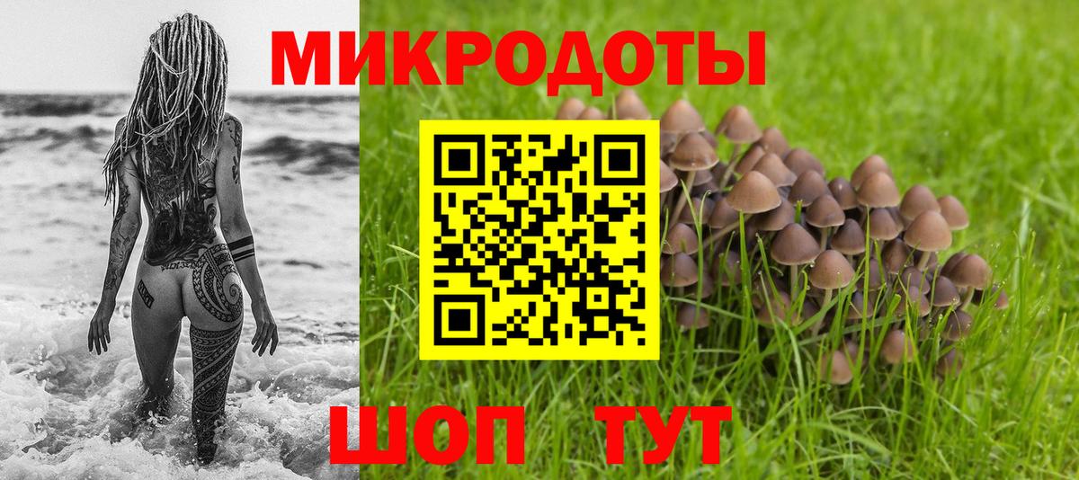 Галлюциногенные грибы GOLDEN TEACHER Узловая